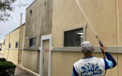 How Mold and Mildew Damage Exterior Surfaces