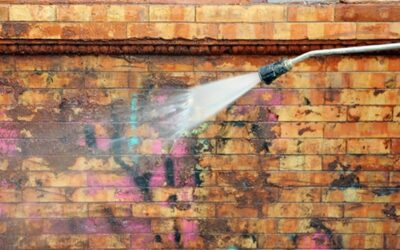 Fence Cleaning and Wood Restoration