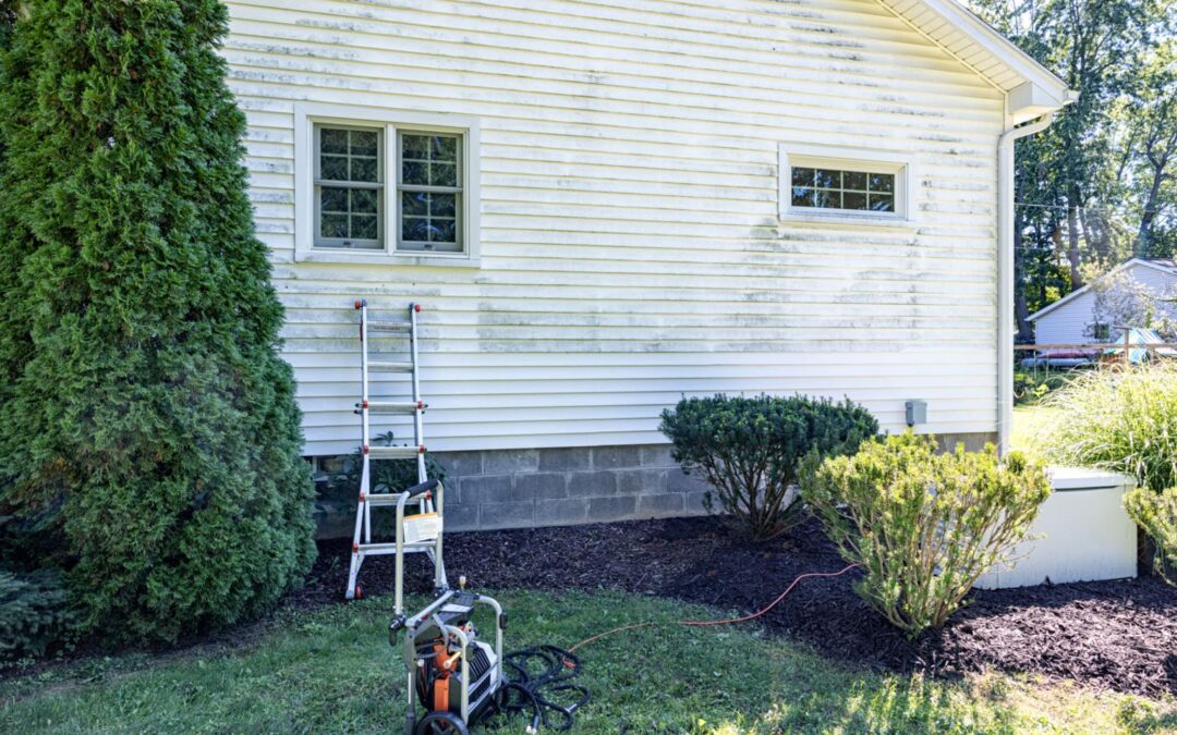 Driveway Cleaning Tips for Homeowners