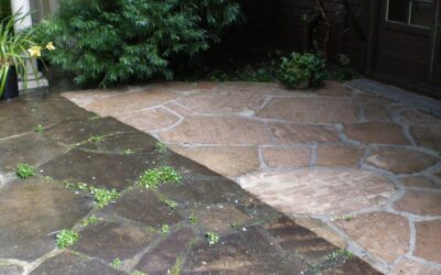 Pool Deck Cleaning and Safety Tips