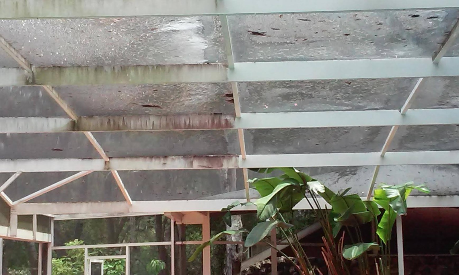 WhatsApp Image 2026-03-17 at 12.54.20 PM (2)