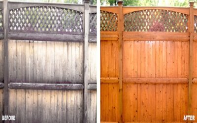 Fence Cleaning and Wood Restoration