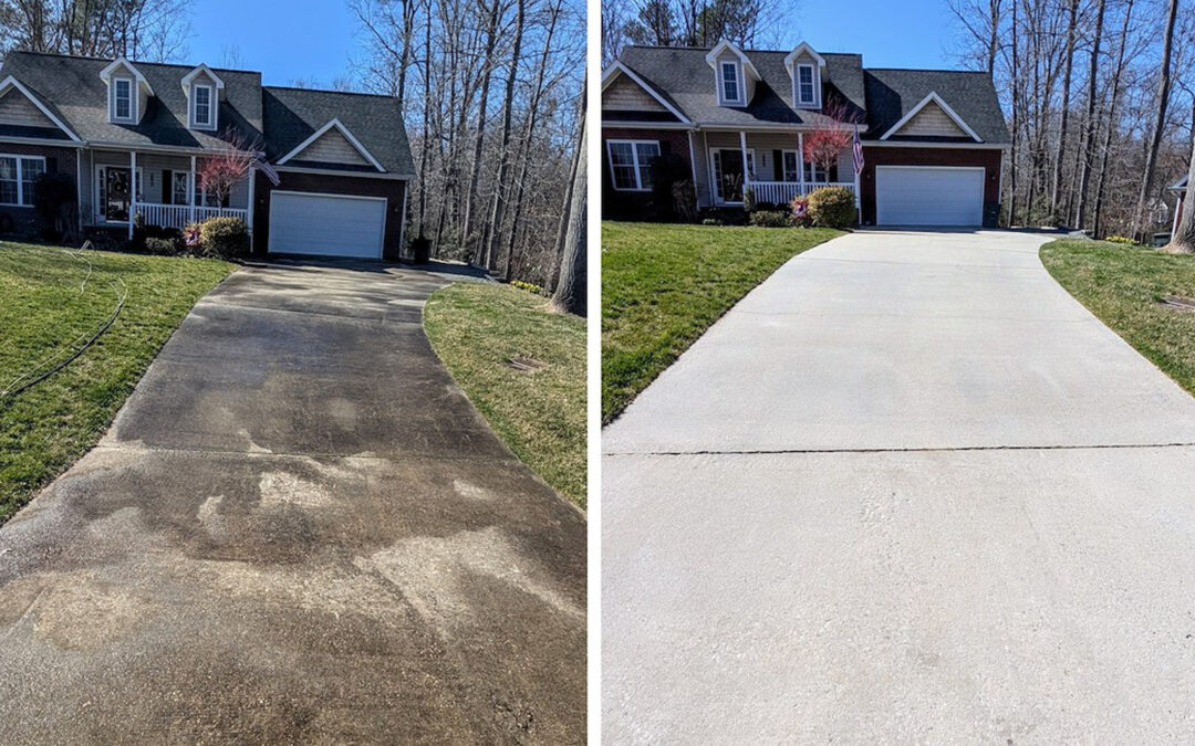 How Mold and Mildew Damage Exterior Surfaces