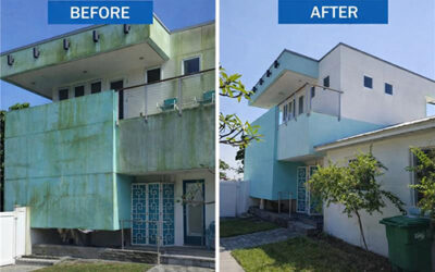 Before and After Power Washing Transformations