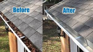 Professional Gutter Cleaning Near Me - St. Louis Area